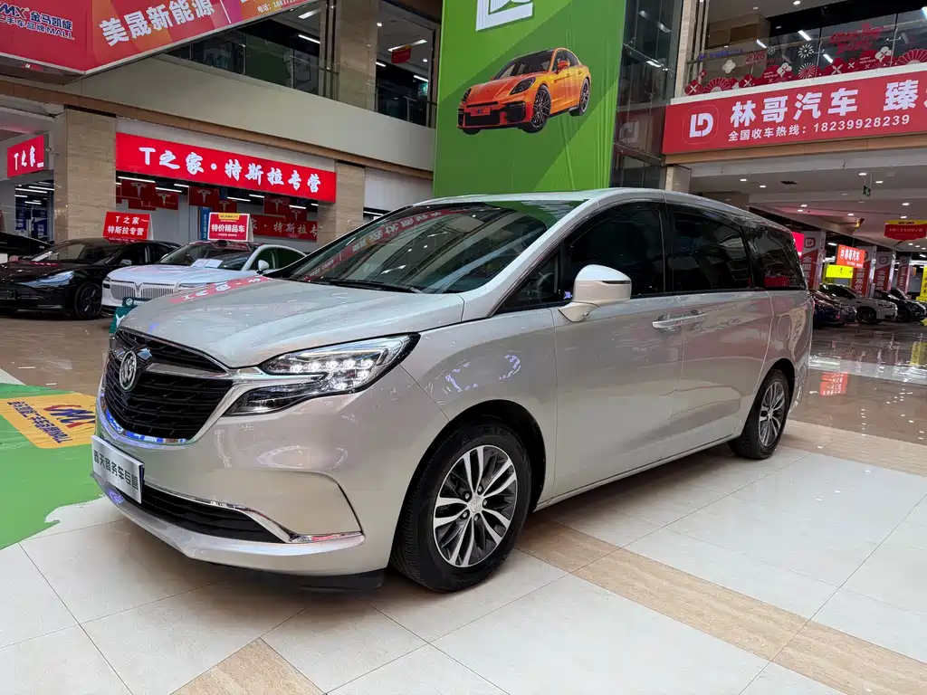 Buick GL8 — миниатюра 3