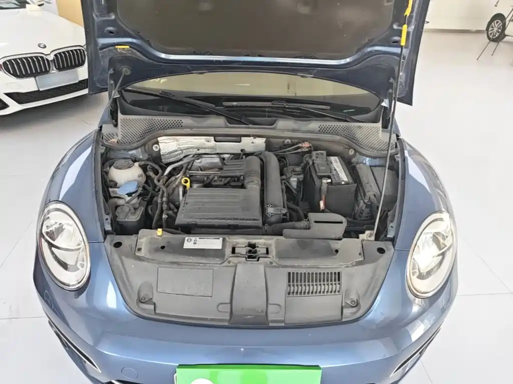 Volkswagen Beetle — миниатюра 20