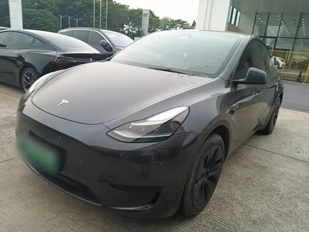 Tesla Model Y — миниатюра 2