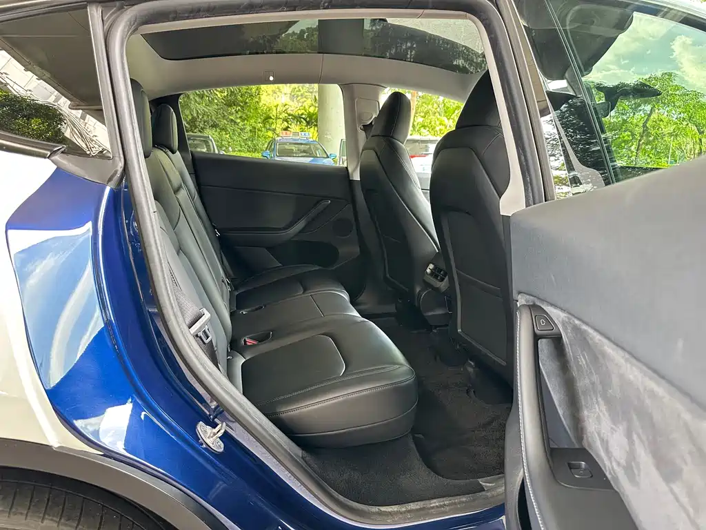 Tesla Model Y — миниатюра 11