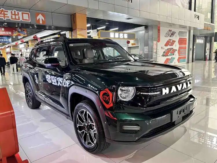 Haval Big Dog PLUS New Energy — миниатюра 2