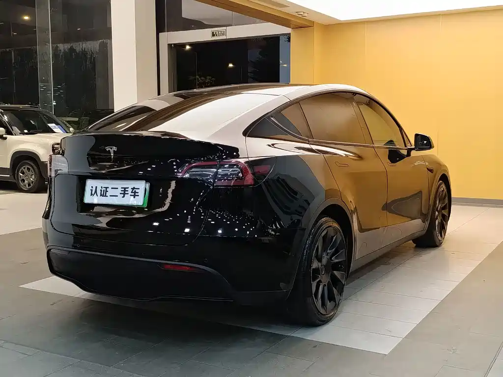 Tesla Model Y — миниатюра 21