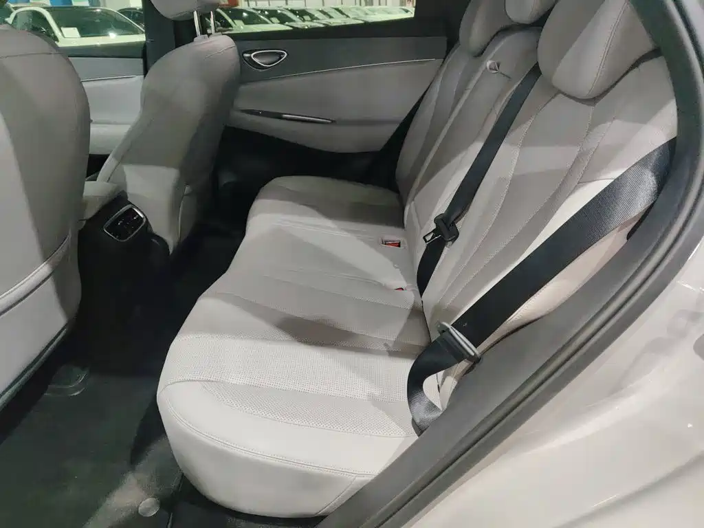 BYD Sealion 06 — миниатюра 13