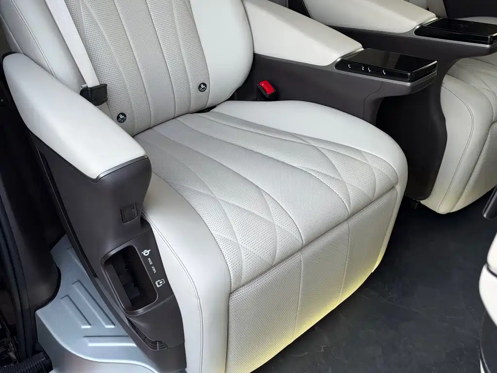 Denza Denza D9 — миниатюра 18