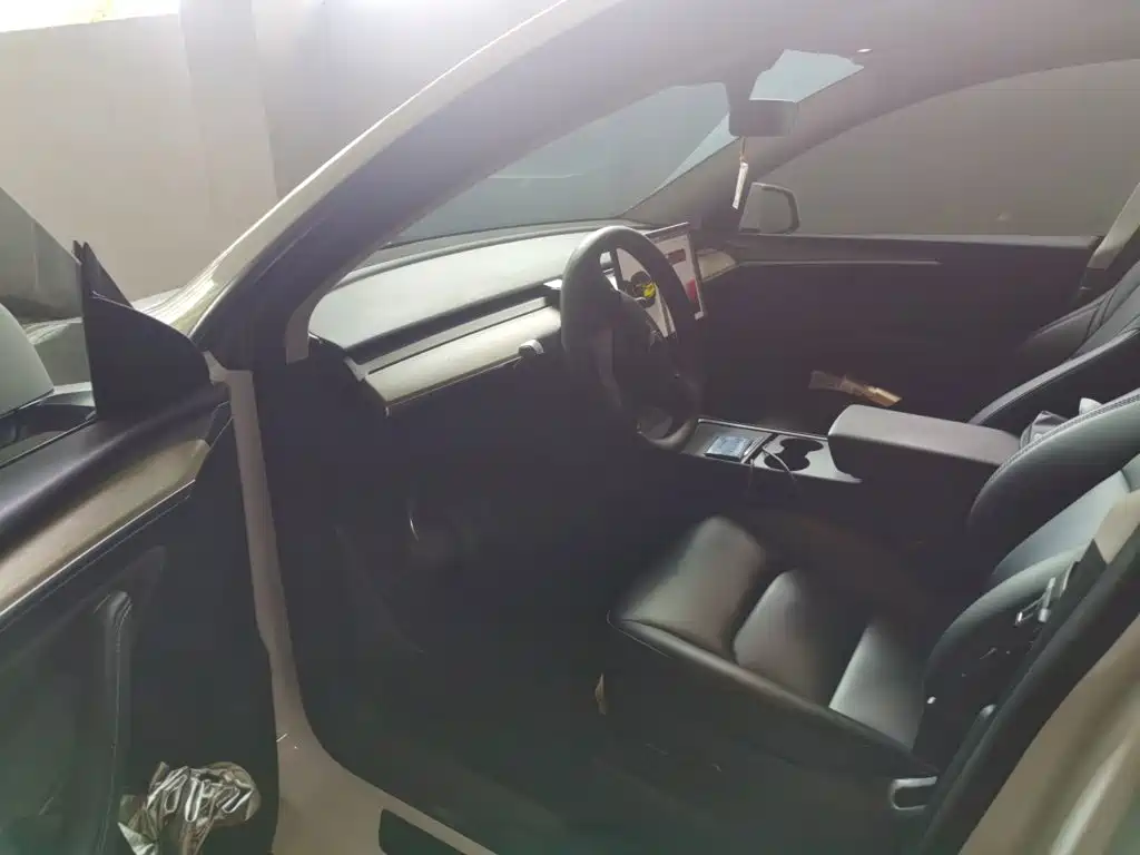 Tesla Model Y — миниатюра 14