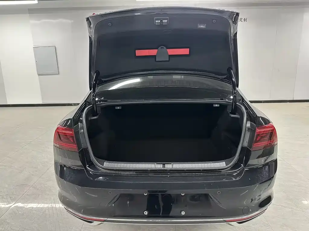 Volkswagen Magotan 2020 330TSI DSG Luxury