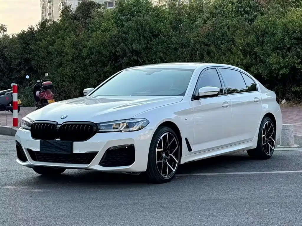 BMW 5 Series 2019