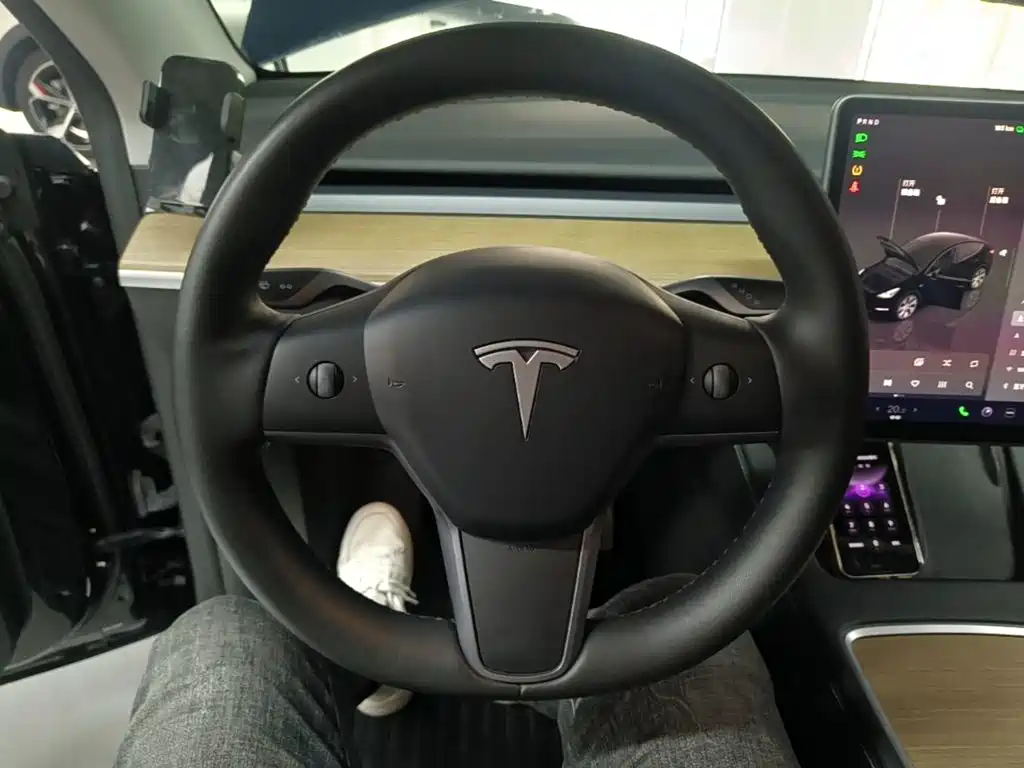 Tesla Model Y — миниатюра 11