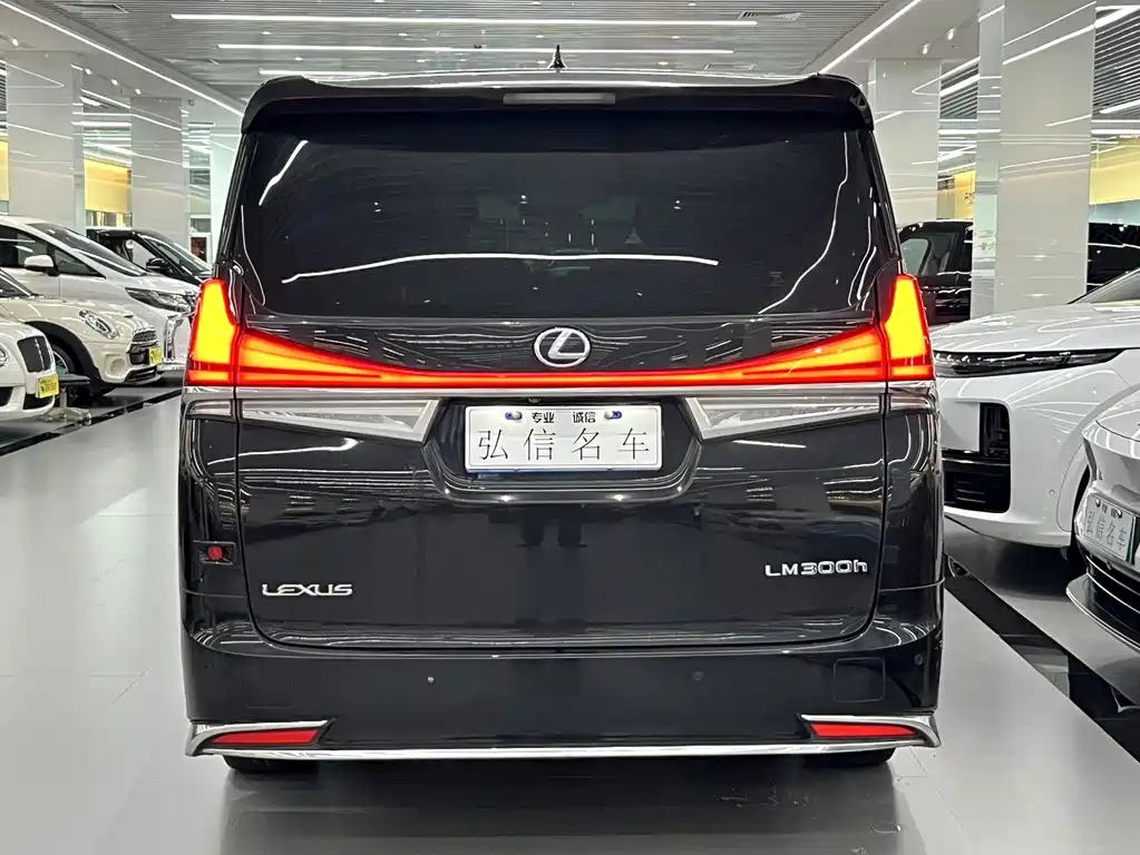 Lexus LM — миниатюра 14