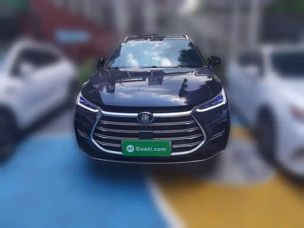 BYD Tang New Energy — миниатюра 24