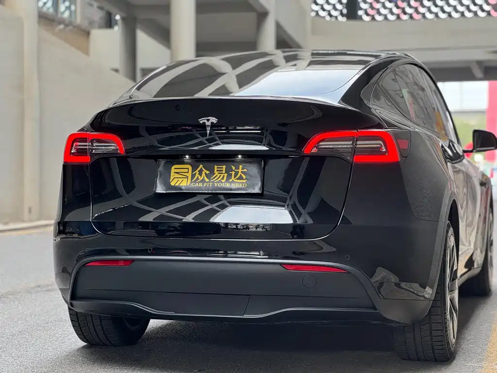 Tesla Model Y — миниатюра 6
