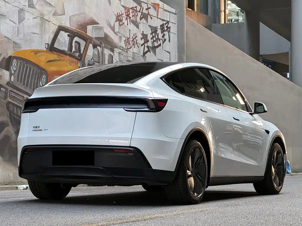 Tesla Model Y — миниатюра 5