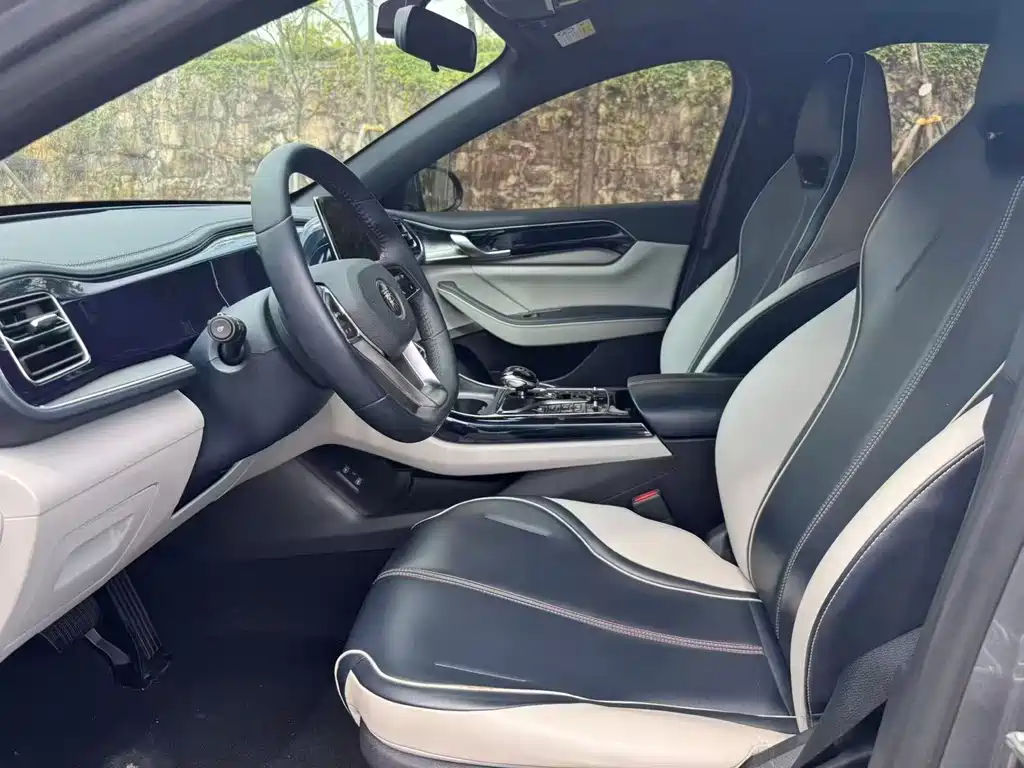 BYD Qin PLUS — миниатюра 4