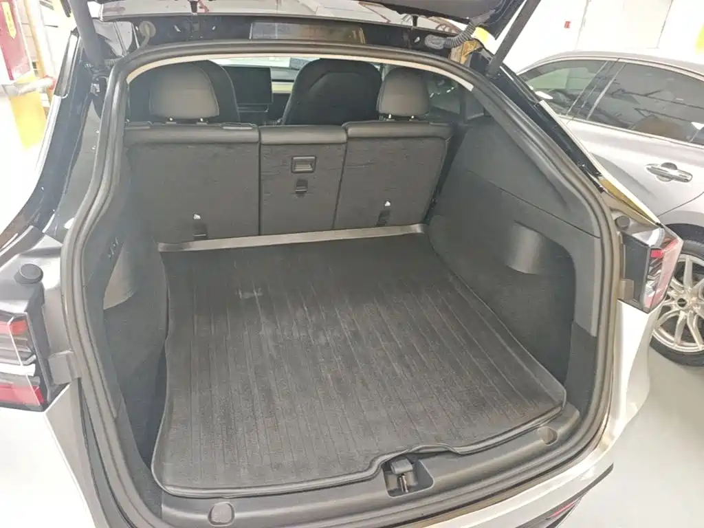 Tesla Model Y — миниатюра 19