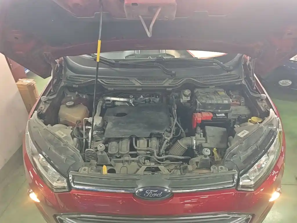 Ford Ecosport — миниатюра 20