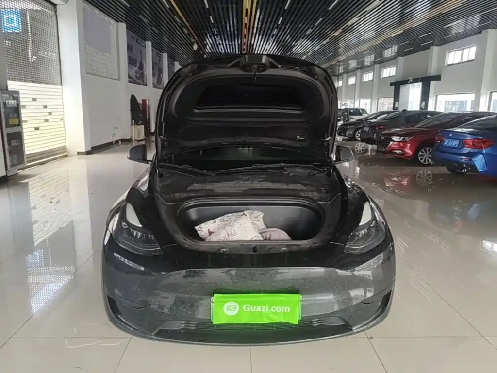 Tesla Model Y — миниатюра 20