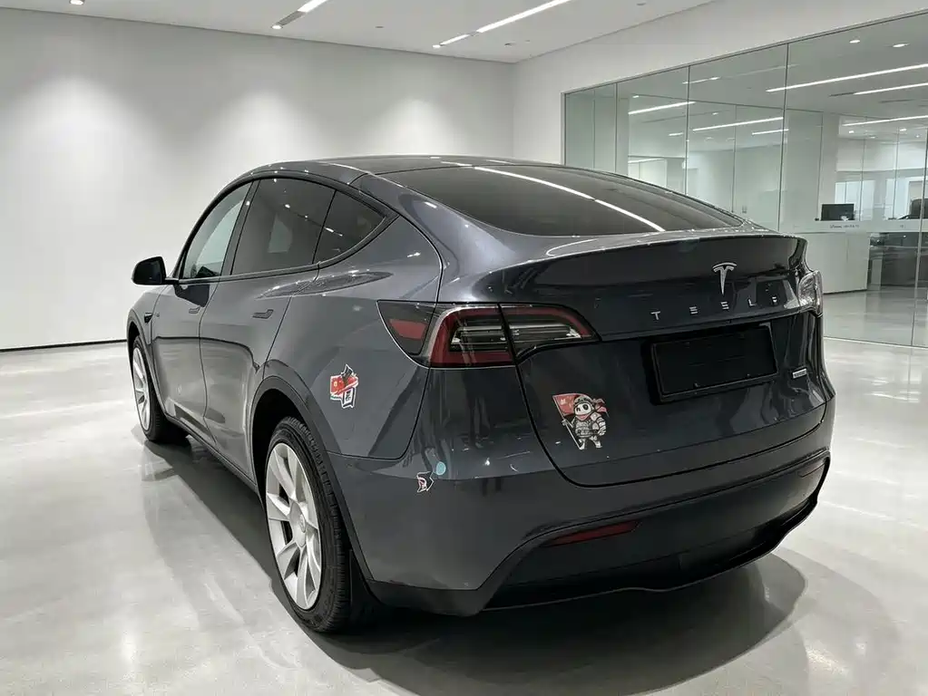 Tesla Model Y — миниатюра 4