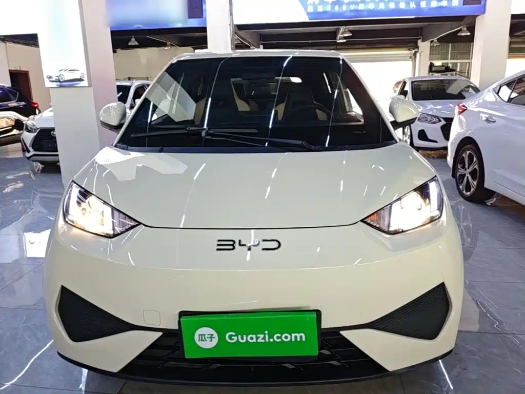 BYD Seagull 2025 305km