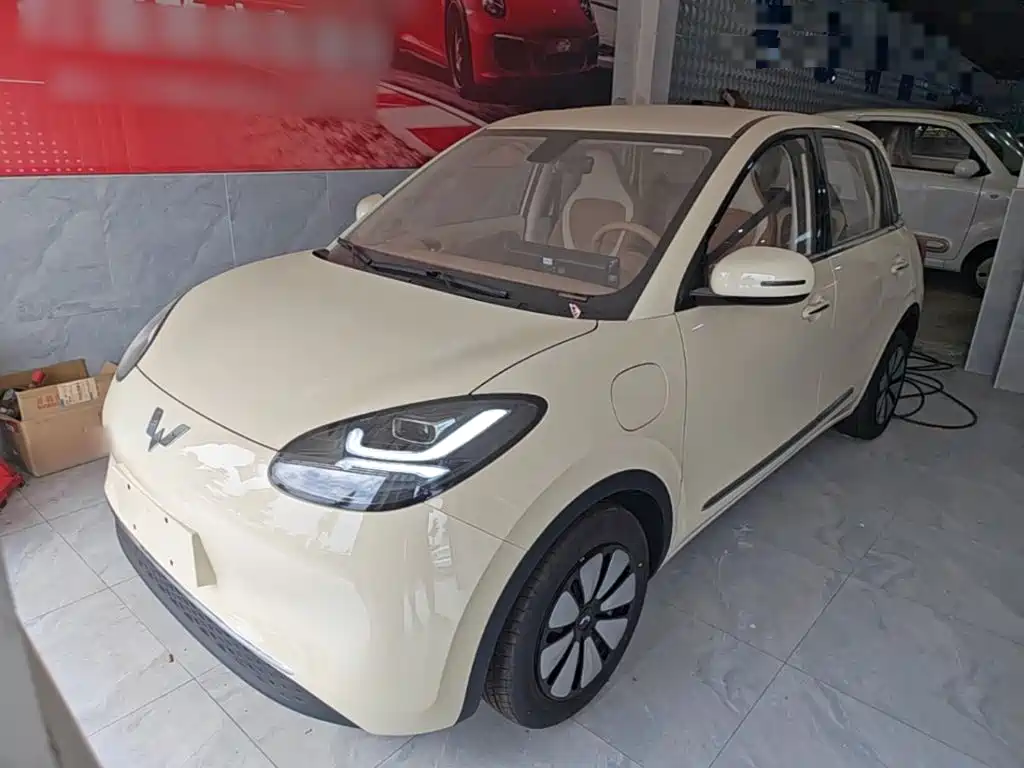 Wuling Binguo 2025 333km Enjoy