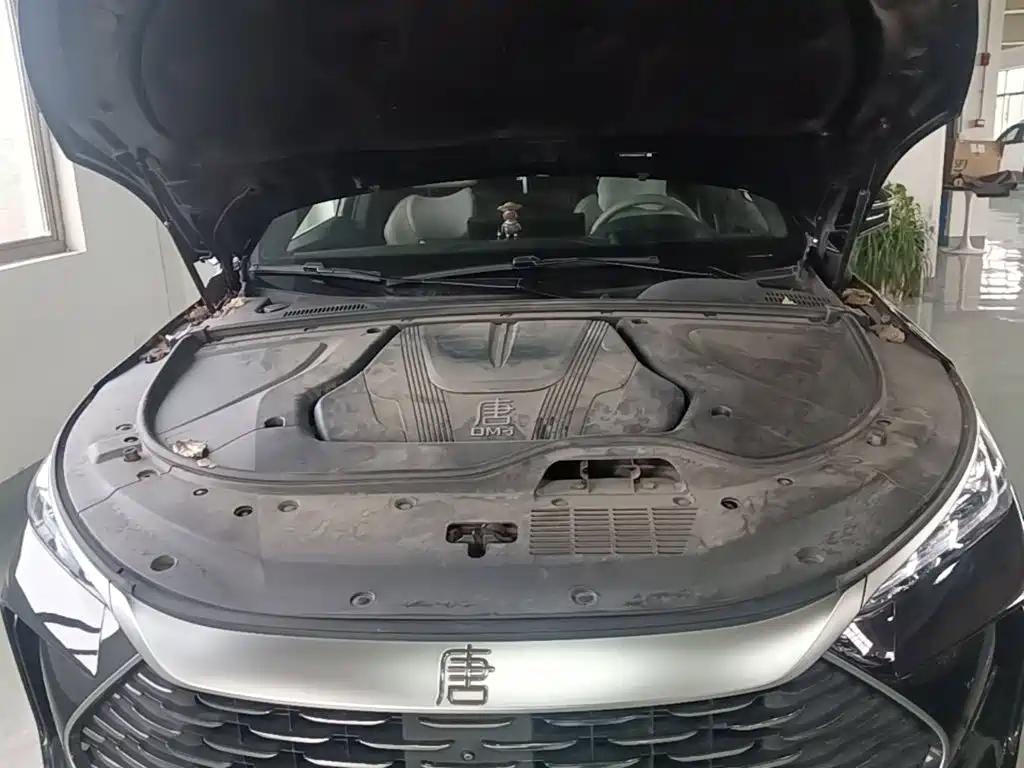 BYD Tang New Energy — миниатюра 20