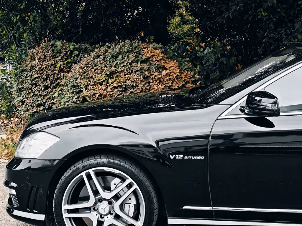 Mercedes-Benz S-Class A MG S AMG 2010 AMG S 65
