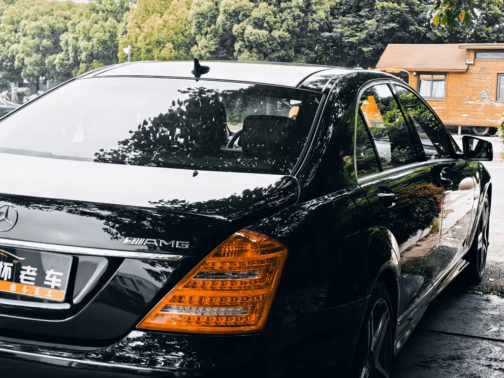 Mercedes-Benz S-Class A MG S AMG 2010 AMG S 65