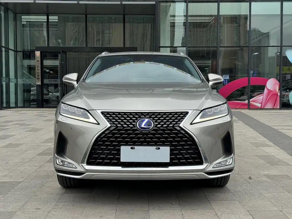 Lexus RX 2020 450h Elegant VI