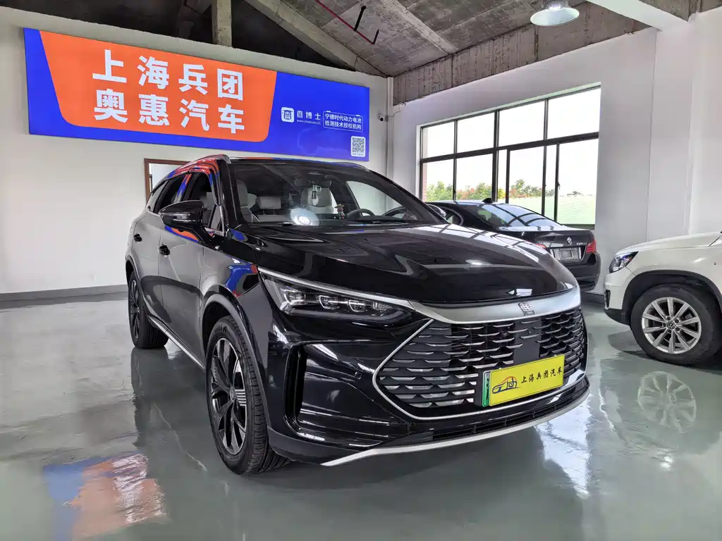 BYD Tang New Energy — миниатюра 3