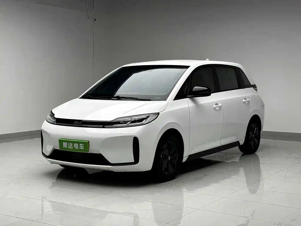 BYD D1