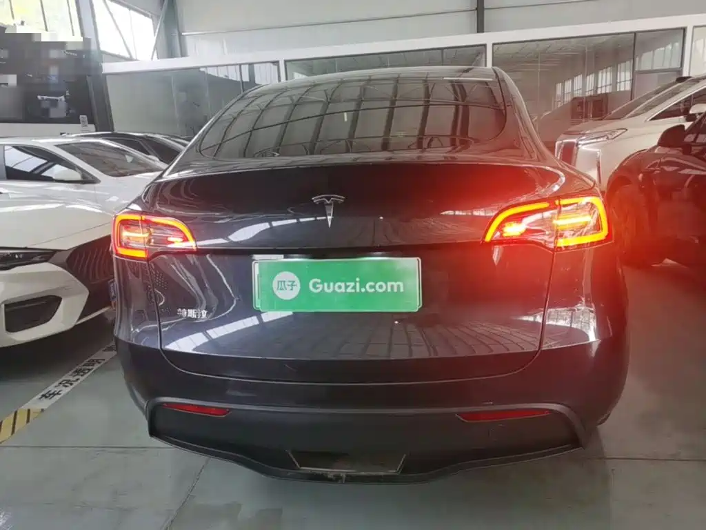 Tesla Model Y — миниатюра 6