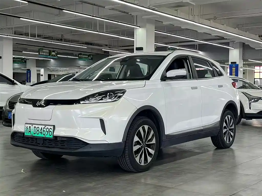 WM Motor EX5 2019