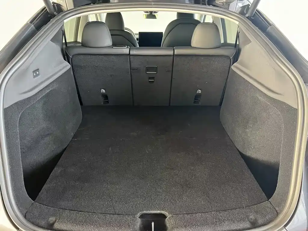 Tesla Model Y — миниатюра 8