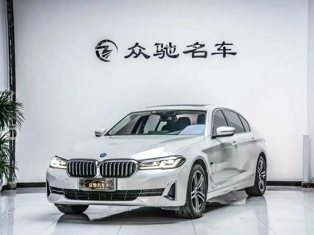 BMW 5 Series New Energy 2022
