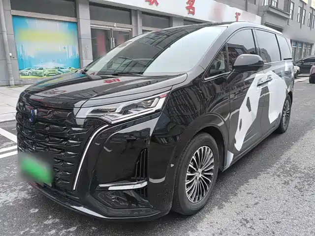 2024 Denza D9