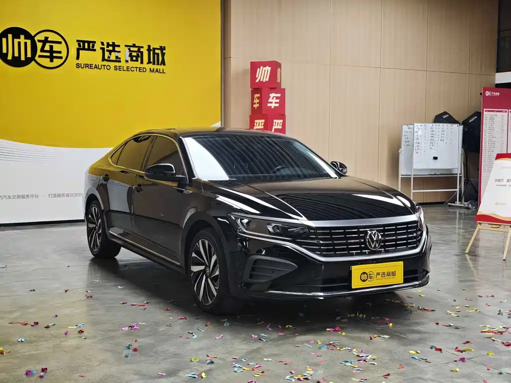 Volkswagen Passat — миниатюра 3