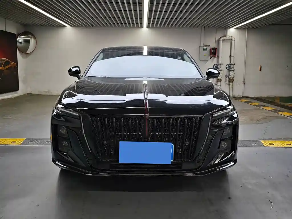 Hongqi Hongqi H5 — миниатюра 2