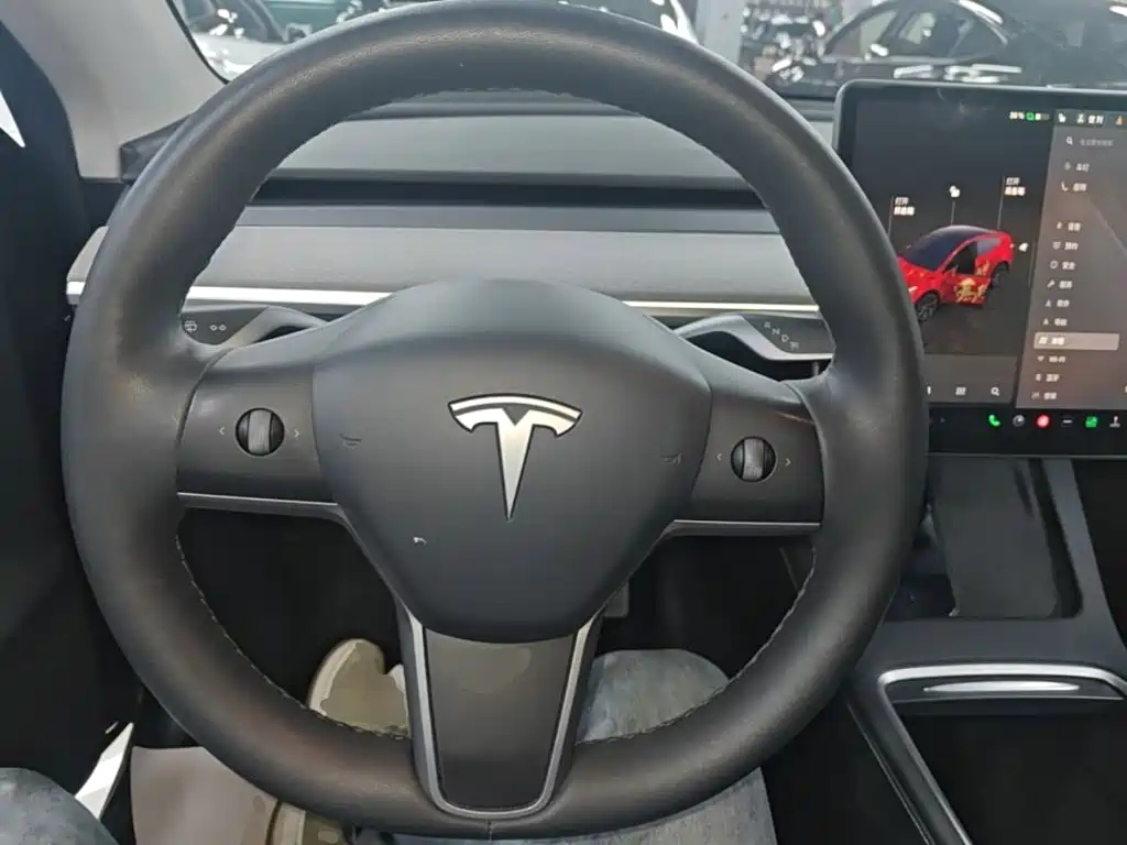 Tesla Model Y — миниатюра 11