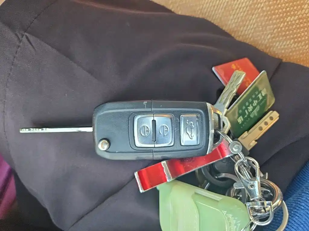 FAW Senya R7 — миниатюра 9
