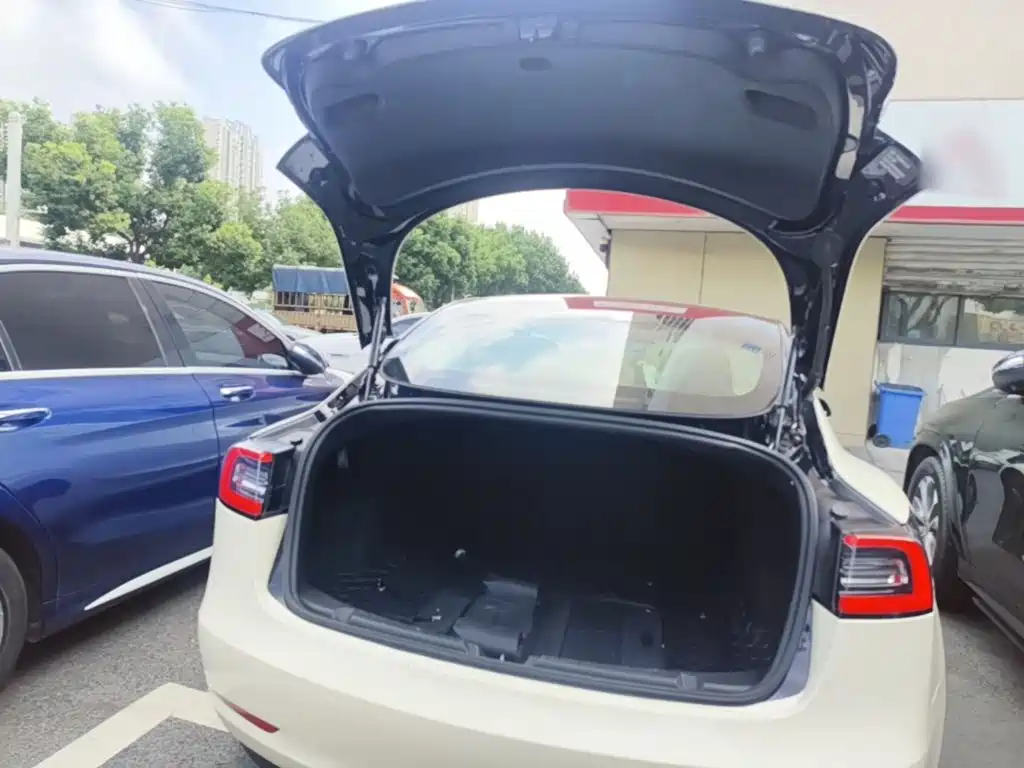 Tesla Model 3 — миниатюра 19