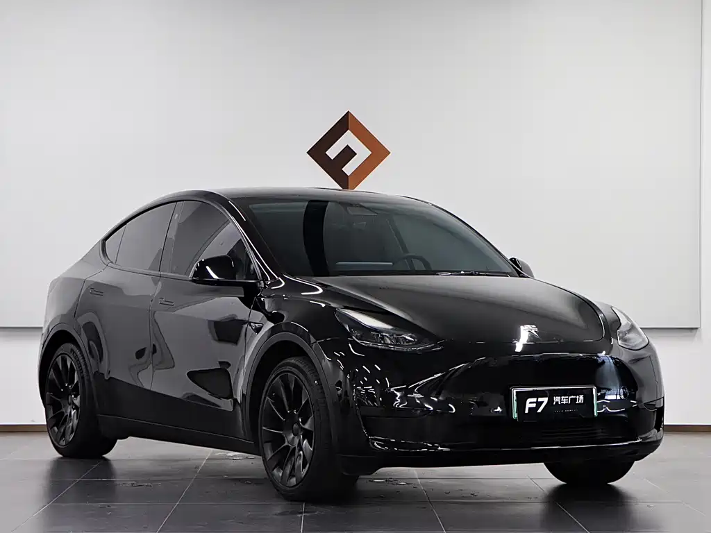 Tesla Model Y — миниатюра 3