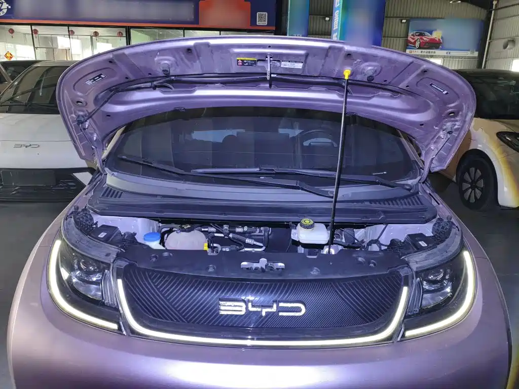BYD Dolphin — миниатюра 20