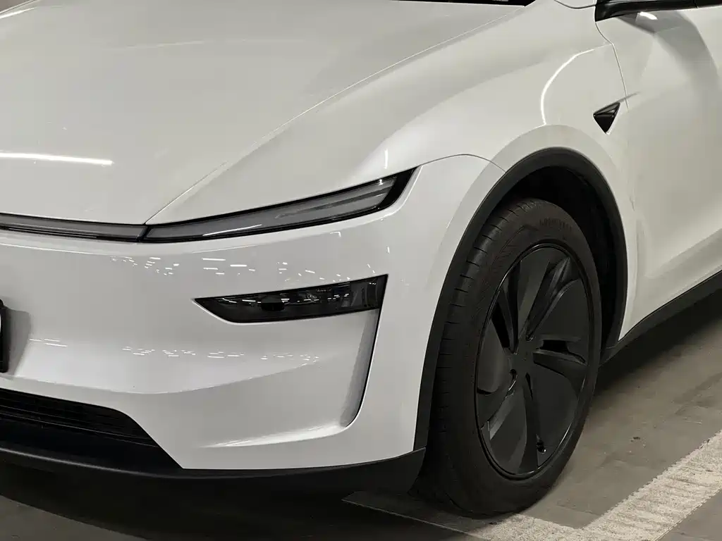Tesla Model Y — миниатюра 31