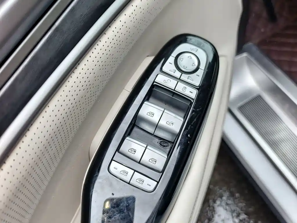 Denza Denza D9 — миниатюра 10