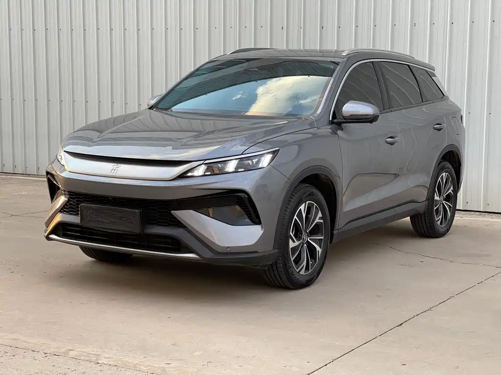 Byd Pro New Energy 2025