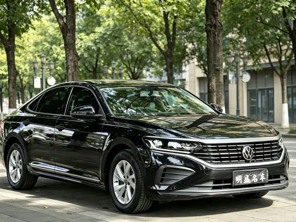 Volkswagen Passat — миниатюра 3