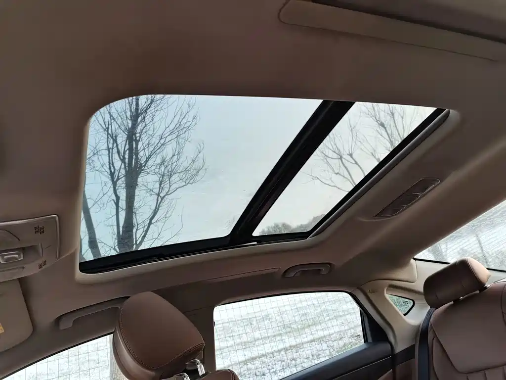 GEELY AUTOMOBILE BORUI