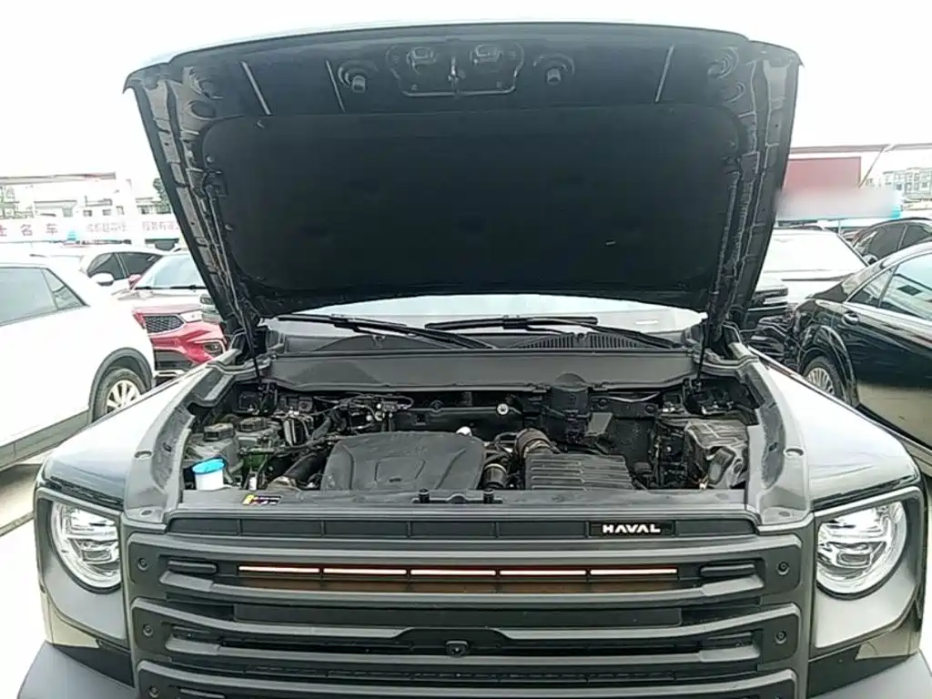 Haval Menglong New Energy — миниатюра 20