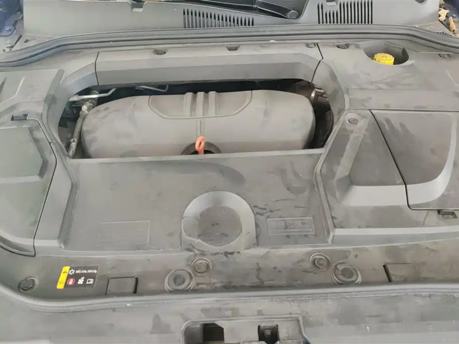 WEI PAI WEI BRAND VV5