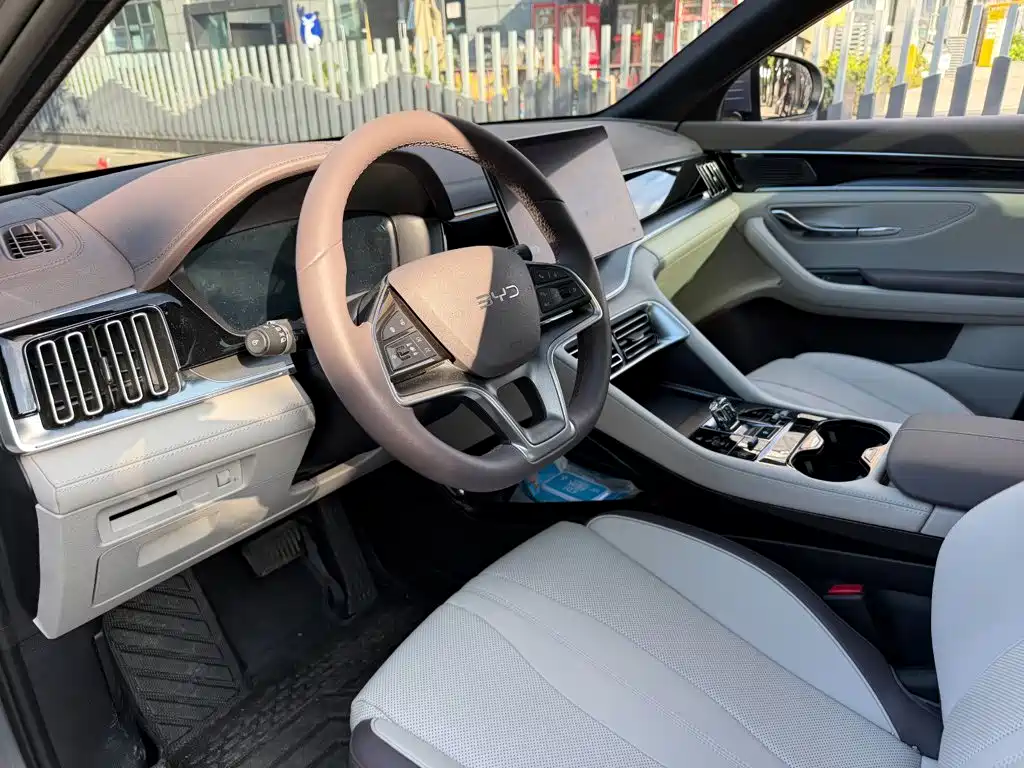 BYD PLUS New Energy — миниатюра 7