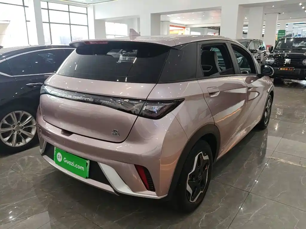 BYD Dolphin — миниатюра 7